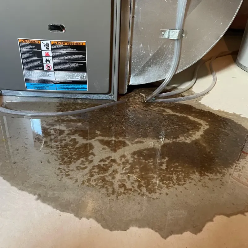 Appliance Leak Cleanup in Salem, NC